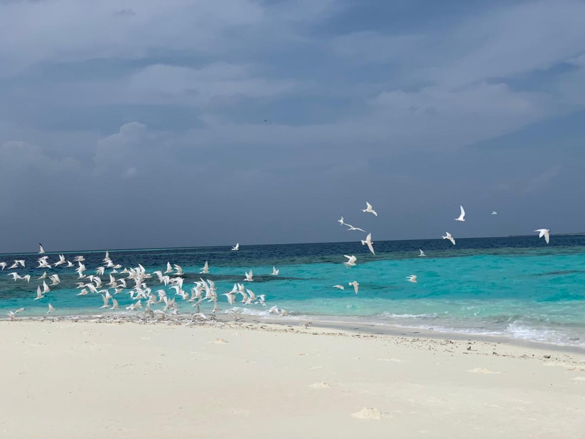PERLA Dhangethi Exterior foto